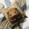 Rusty Feeling Hedgehog Cushion Covers Chair Living Room Pillowcase Cozy Zipper Sofa Pillow Covers Bedroom Indoor Home Decor