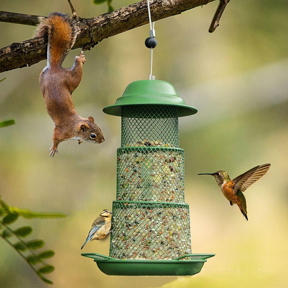 

Hanging Bird Feeder Practical Hummingbird Food Container Bird House Feeder Tray Wildlife Lovers Round