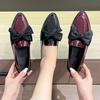 Large Size Mary Jane Shoes Spring and Autumn New Shallow Mouth Pointed Head with Skirt French Evening Single Shoes