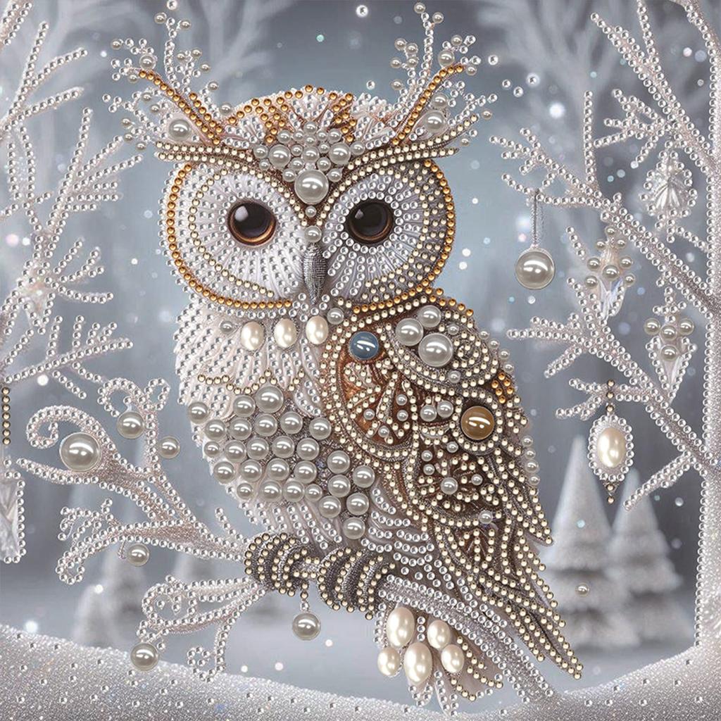 Owl Special Shaped 5D DIY Partial Drill Diamond Painting Kits for Adults DIY Gift Home Decor Diamonds Dots Gem Art Kits 30x30cm