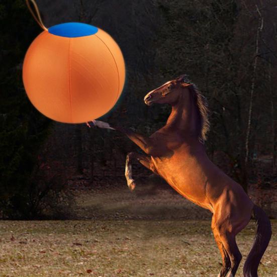 Hüteball für Hunde Beruhigender Ball mit Griff aufblasbarer Trainingsball für große Rassen kleine mittlere Hunde Aktives Spiel Bewegung