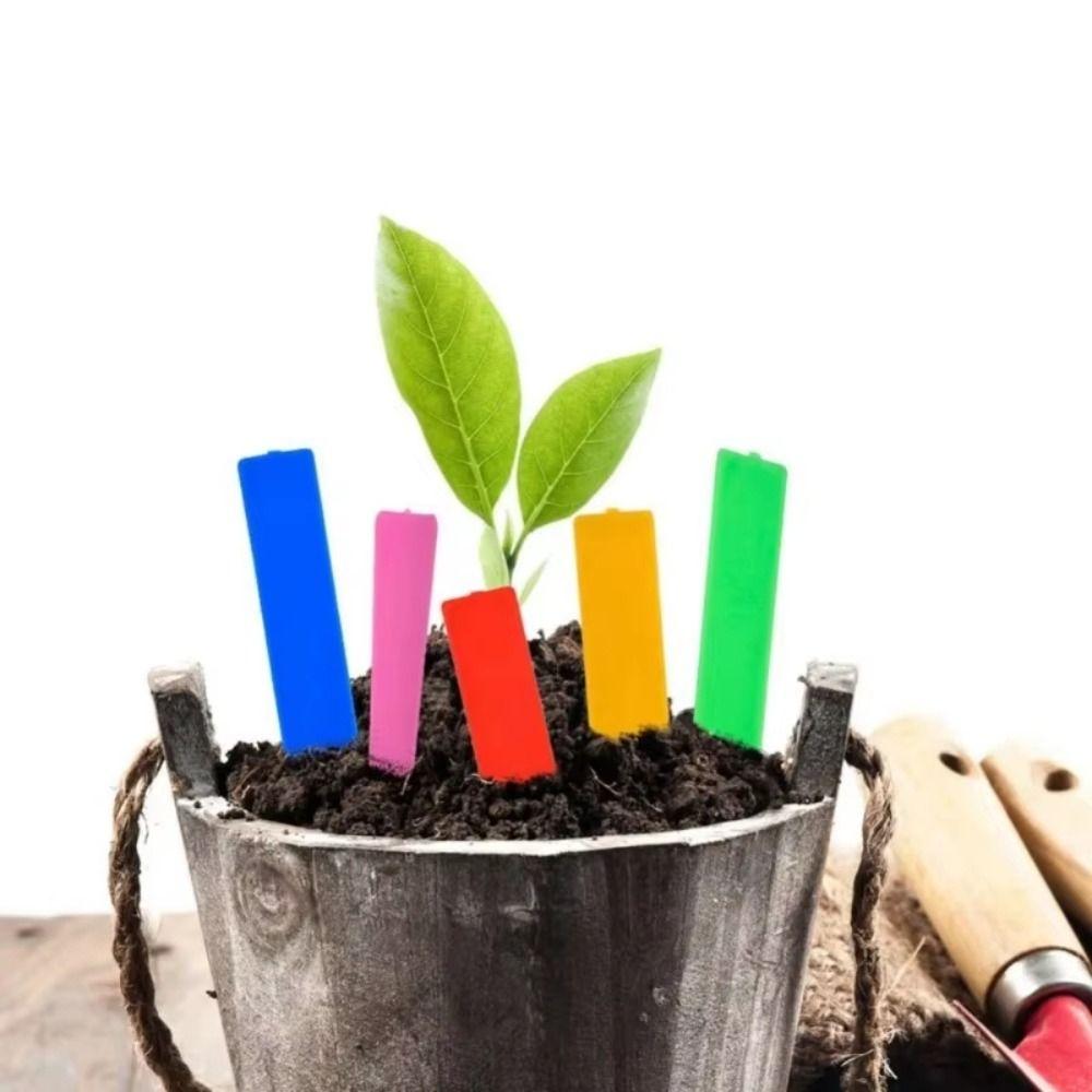 100Pcs Plastic Material Plant Tags 5*1cm Size DIY Tool Plant Markers Waterproof Reusable Gardening Tags Plant Accessories