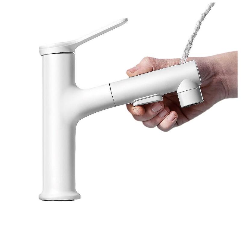 TLXT Crystal Silver Pull-Out Basin Faucet