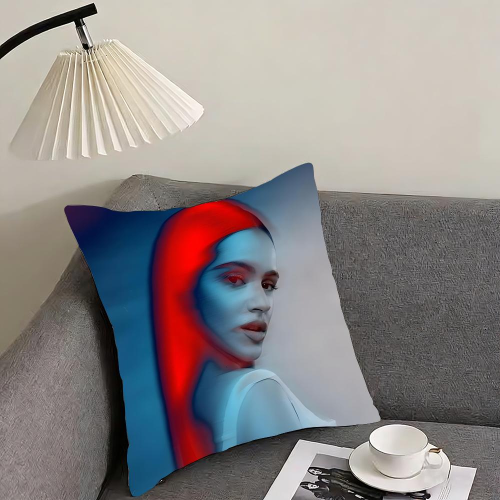 

RRosalia Singer Cushion Cover Pillowcase Ultra Soft Skin Friendly Fabric Cloud Like Comfort Concealed Zipper 30x30cm