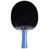 Raquette de tennis de table YINHE 5 étoiles Shakehand