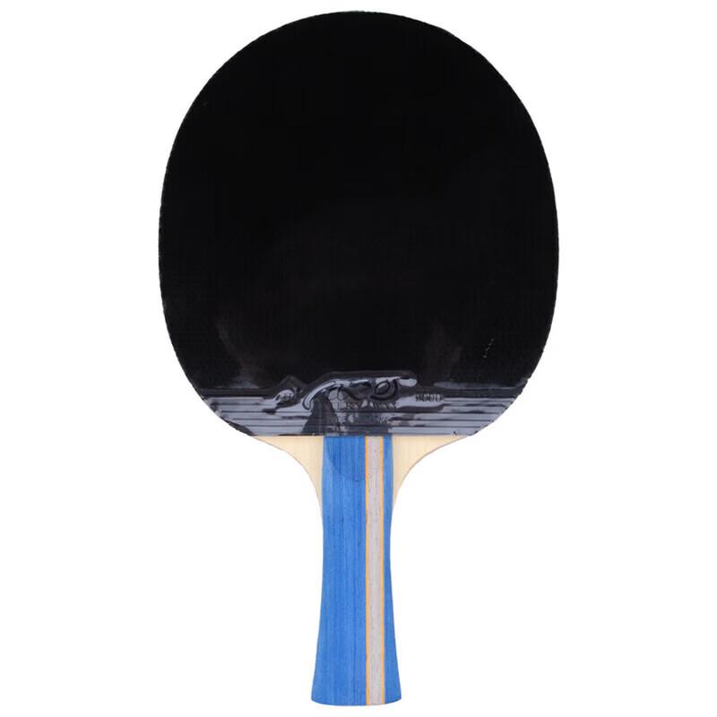 Raquette de tennis de table YINHE 5 étoiles Shakehand