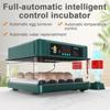 48/72 Eggs Incubator for Bird Chicken Goose Quail Incubation Tools Full-automatic Intelligent Control Incubation Equipment
