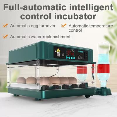 48/72 Quail Incubation Tools Full-automatic Intelligent Control Incubation Equipment Eggs Incubator for Chicken Goose Bird