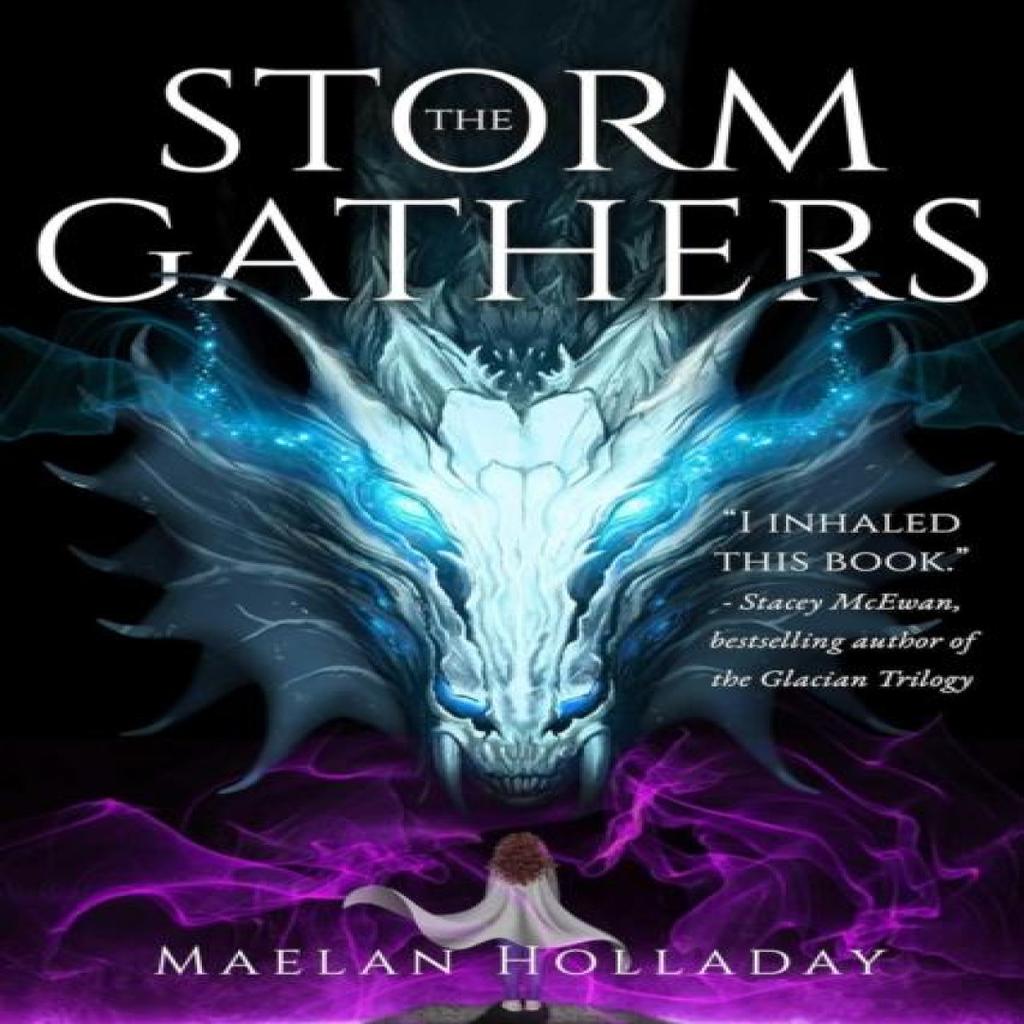 The Storm Gathers by Maelan Holladay Paperback Book 9781958607046