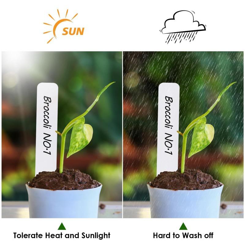 100PCS hot-selling plant label number plate garden green plant gardening succulent potted plant planting record card punching sign