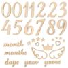 Viako Monthly Milestone Photo Cards Set 31pcs Natural Wood Letter Banner Baby Shower Gift