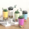 Simple Modern Imitation Glass Succulent PlanterinsCreative Style Desktop Ornament Indoor Green Plant Pot Container