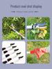 Telescopic High-Altitude Fruit Picker with Shears for Lychee, Yangmei, and Loquat