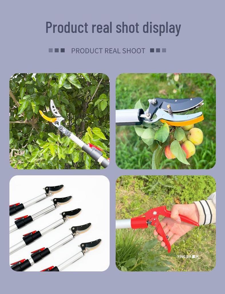 Telescopic High-Altitude Fruit Picker with Shears for Lychee, Yangmei, and Loquat