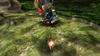 Pikmin 1+2 -Switch