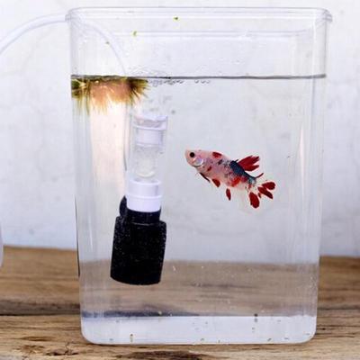 Mini filtro pneumatico silenzioso per acquario per acquari