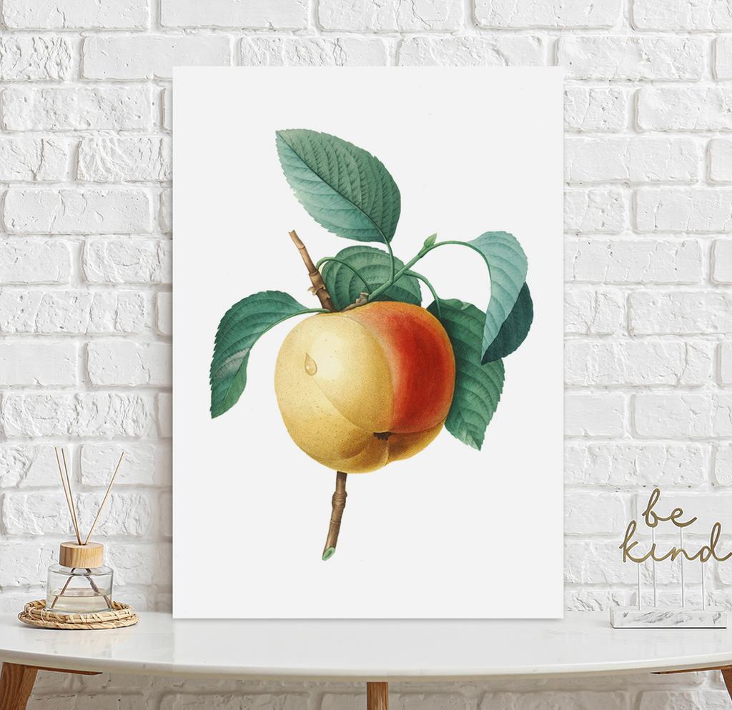 Vintage Apple Blossom Poster