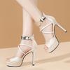 Women's Sandals Waterproof Platform 2025 Summer New Style Fine Heel Anti-slip Fashionable Banquet Roman Sandals for Women