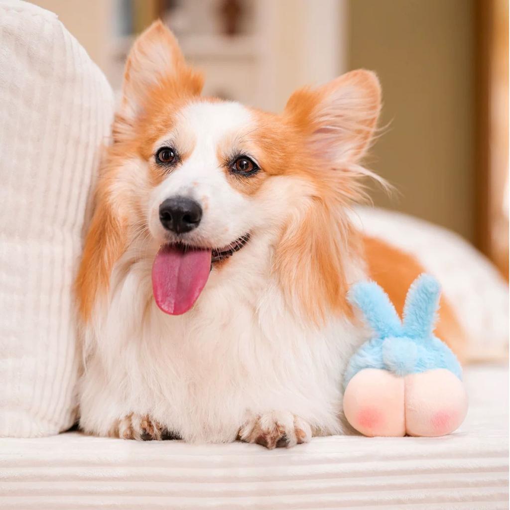 Hundespielzeug: Moowa Pippipoo Ball - Knisterpapier Rolly-Poly Spielzeugball - Rollender Geräusch-Zähneputzball - Cartoon Haustierprodukte