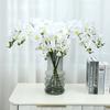 Simulation flower feel Phalaenopsis, living room bedroom home decoration ornament, fake flower bonsai