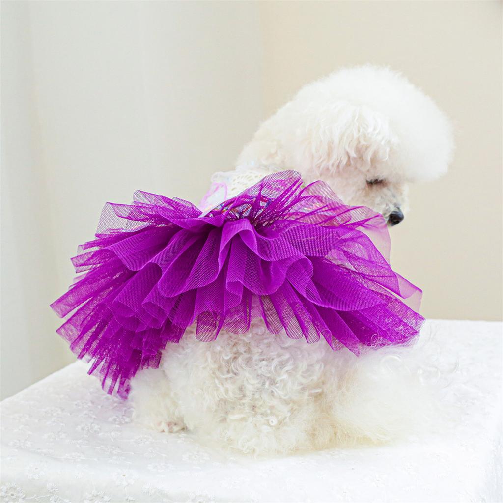Katzen Kostüm Hochzeitskleid Kleiner Hund Rock Schmetterling Spitze Kleid für Katzen Hunde Fotografie Formeller Anlass Haustier Kostüm