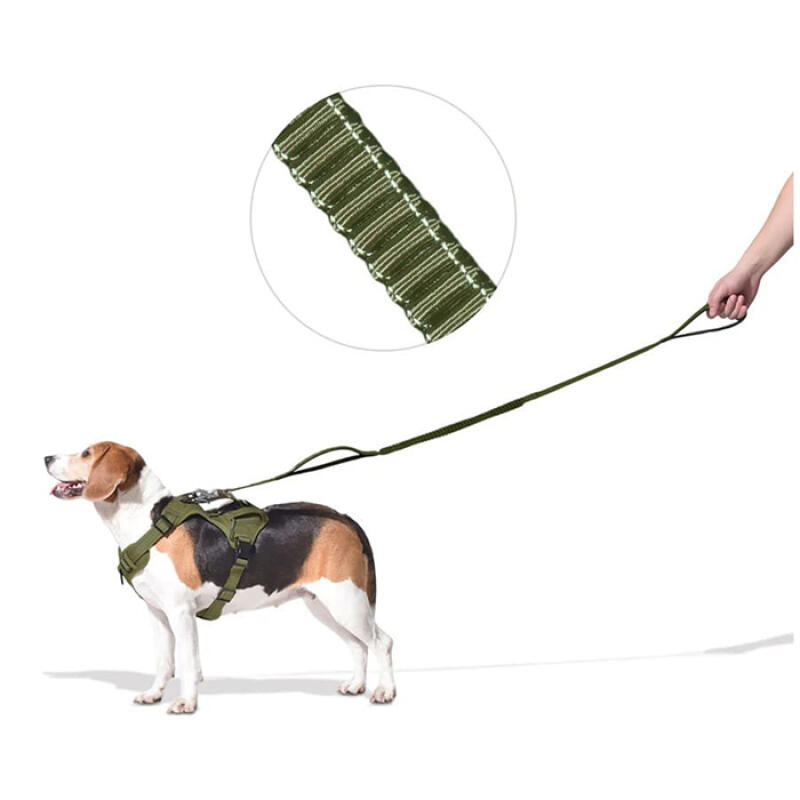 Elastic shock-absorbing elastic leash NPFPL002