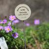 Înverzire şi amenajare – Decorațiuni pentru livadă