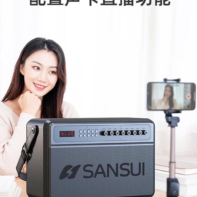 SANSUI G17 Portable High-Power KTV Bluetooth Speaker (CN version)