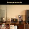 Aiyima A3001 300W Class D Mono Amplifier with Power Adapter for Home Audio Subwoofer Speaker