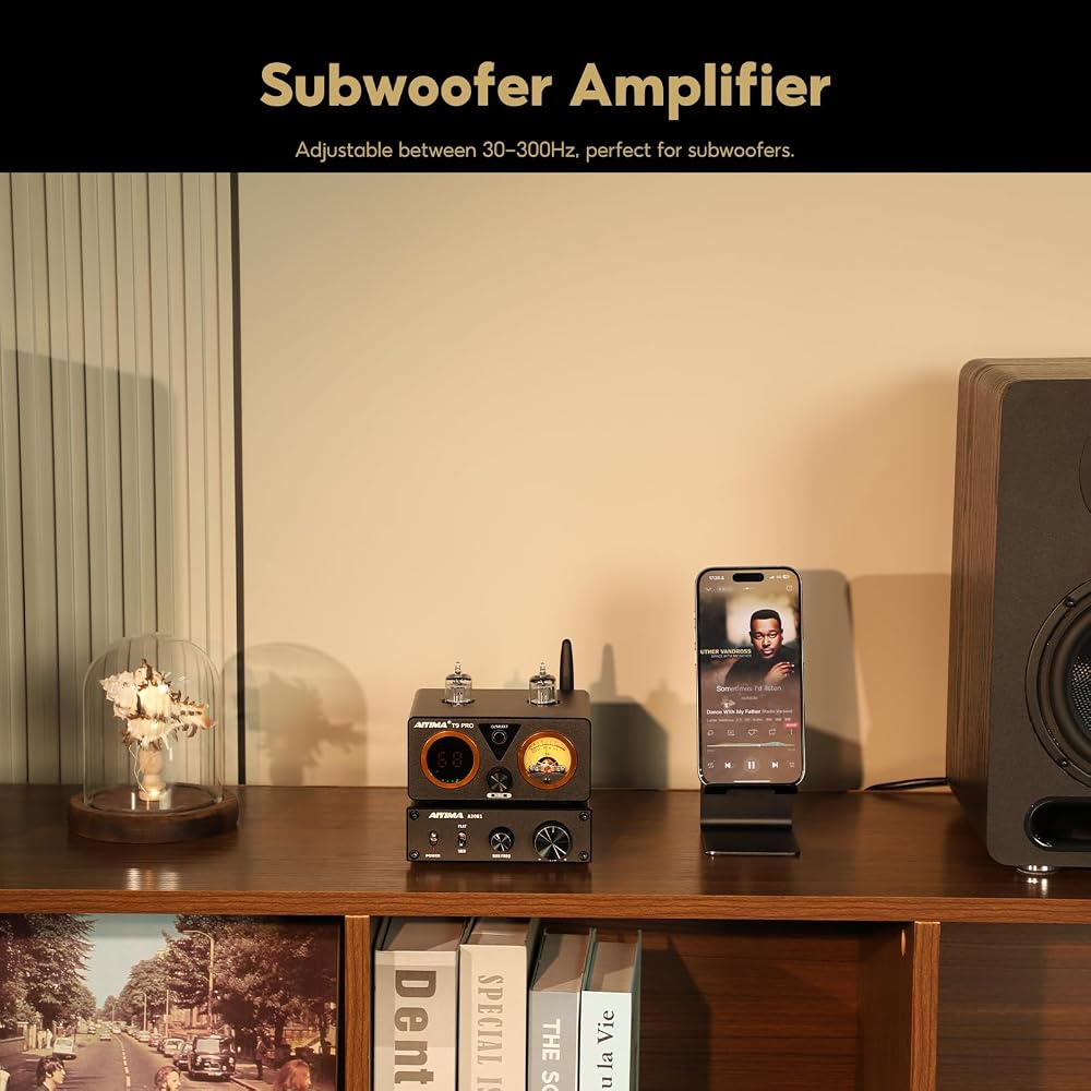 Aiyima A3001 300W Class D Mono Amplifier with Power Adapter for Home Audio Subwoofer Speaker