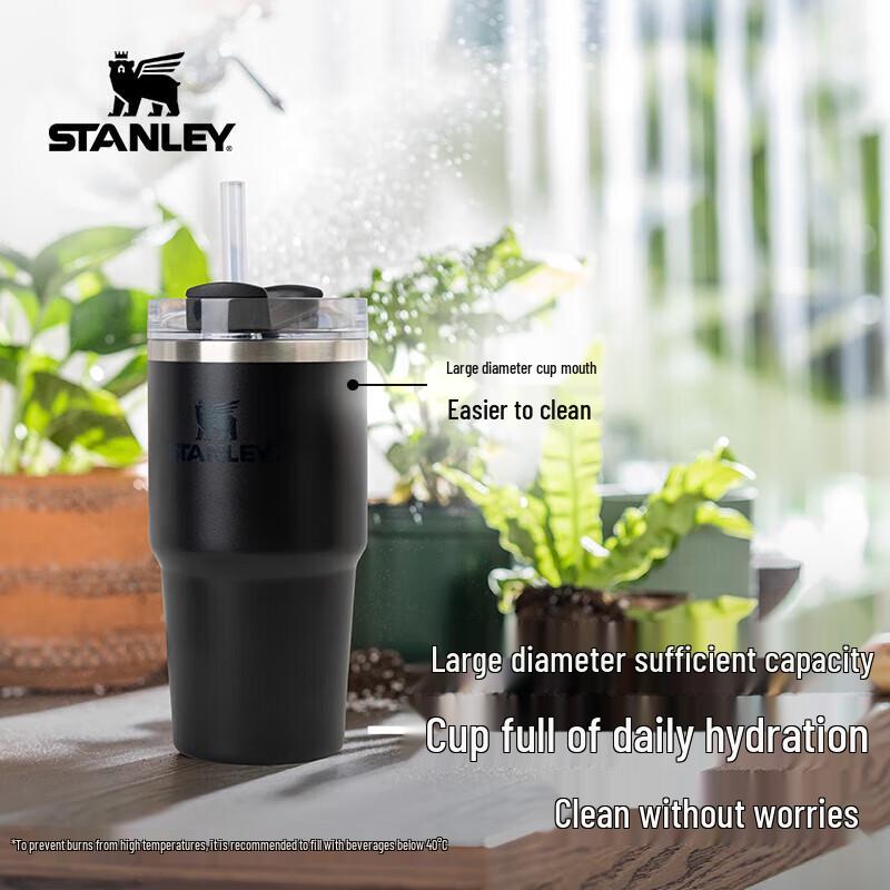 STANLEY Adventure H2.0 Stainless Steel Vacuum Straw Tumbler