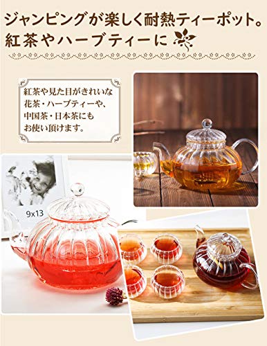 IwaiLoft Soothing Heat-Resistant Glass Teapot with Strainer, Insulated, for Two, Perfect for Black Tea, Fruit, Leaf, Flower, and Craft Teas, IL-SET192