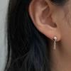 Charming Dangle Earrings_2colors