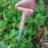 2/3Pcs Hand Dibber Stainless Steel Garden Dibber With Wood Handle Gardening Tool for Sowing Transplanting Planting Bulb Digging