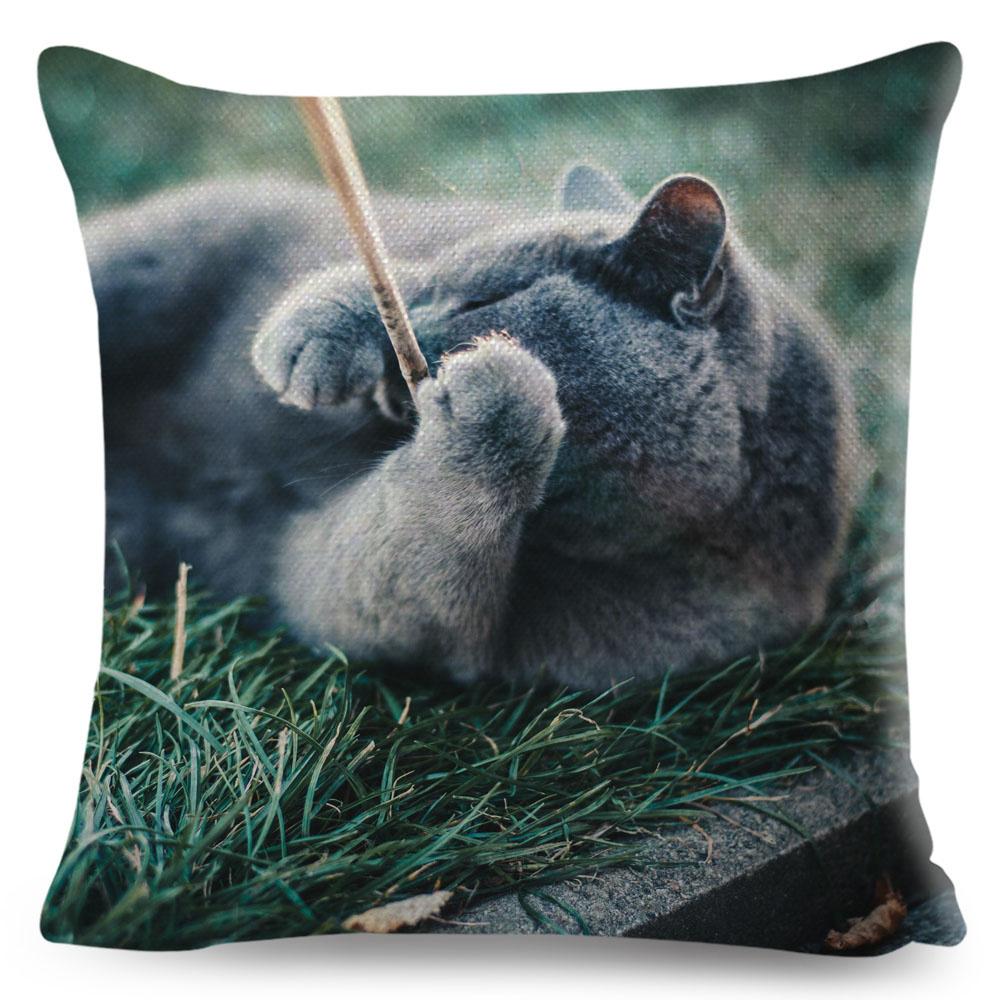 Housse de coussin British Shorthair bleu russe, taie d'oreiller en Polyester, décoration de chat mignon, Animal de compagnie, pour canapé, maison, voiture