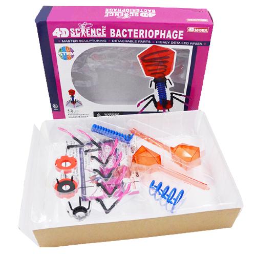 4D Vision Bacteriophage Model Biology Assembled Anatomical Model Medical Science Teaching Educational