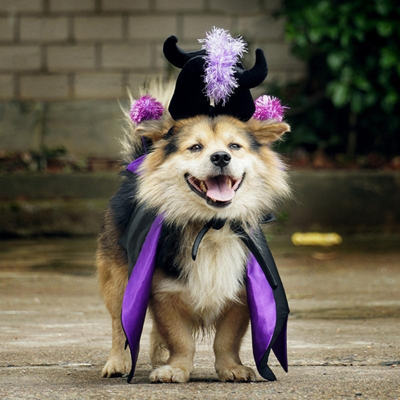 Dog Witch Costume/Devil Horn Hat for Pet Halloween Theme Party Dogs Costume Cloak for Small Cats Dog Cosplay Party Outfit