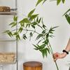 Atmosphere Enhancing Floral Decor Bamboo Tree Branches, Long Stems Faux Greenery, Artificial Plants, Leaves Elegant Zen Style Soft Decoration
