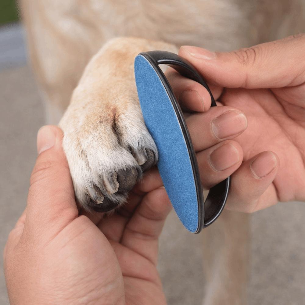 Replaceable Sandpaper Dog Nail File Board Wear Resistant Portable Pet Scratch Pad Efficient Puppy Nail File