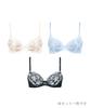 Bras Set of E65 Wing/Wacoal (Lucky Bag) 3, KB9850, Multicolor,