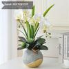 Artificial Phalaenopsis Floral Arrangement for Living Room Display - Potted Decoration for TV Cabinet