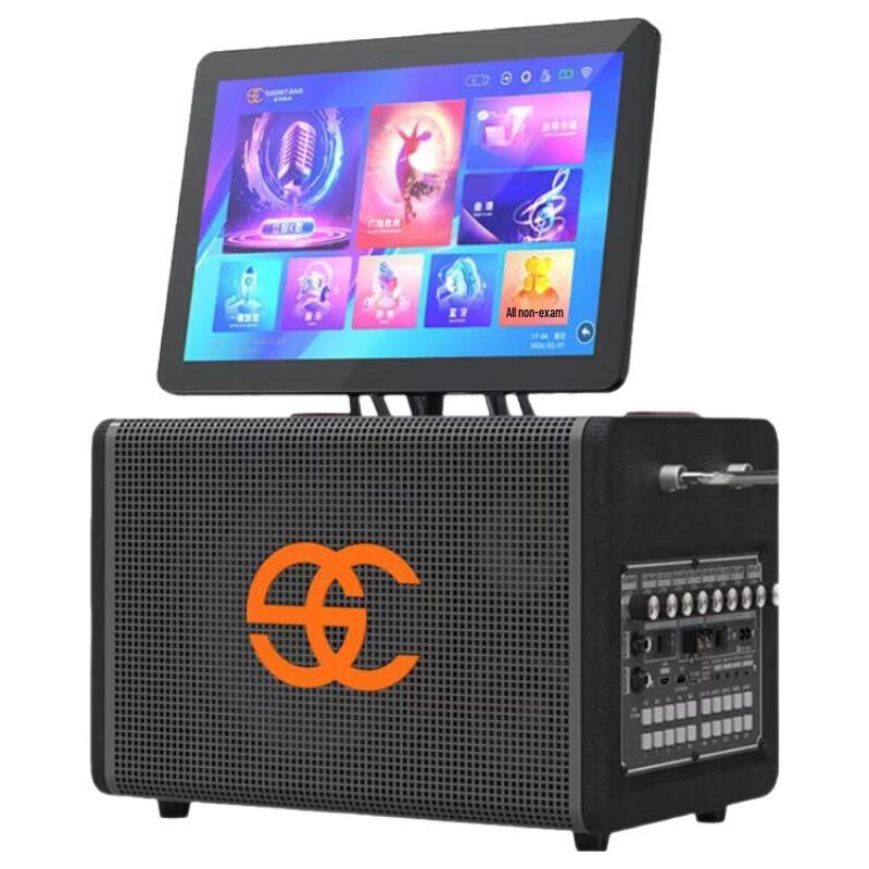 Songchuan Outdoor High-Power Portable Karaoke PA System (CN version)