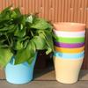 8pcs/set Cactus Pot Candy Color Flower Pot Round Plastic Plant Pot with Tray Thickened Potted Planters Balconies Planting