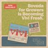 Boveda Herb Storage 62-RH 2-Way Humidity Control Size 8 Protects