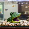 Pești și animale marine – Decorul acvariului