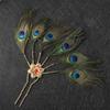 Temperament Peacock Feather Hairpin Ethnic Dance Hair Stick Hairstyle Design Tool Hair Accessories