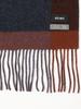 Beams Panel Check Reversible Scarf in x Free Size Men's D.BROWN BLUE,