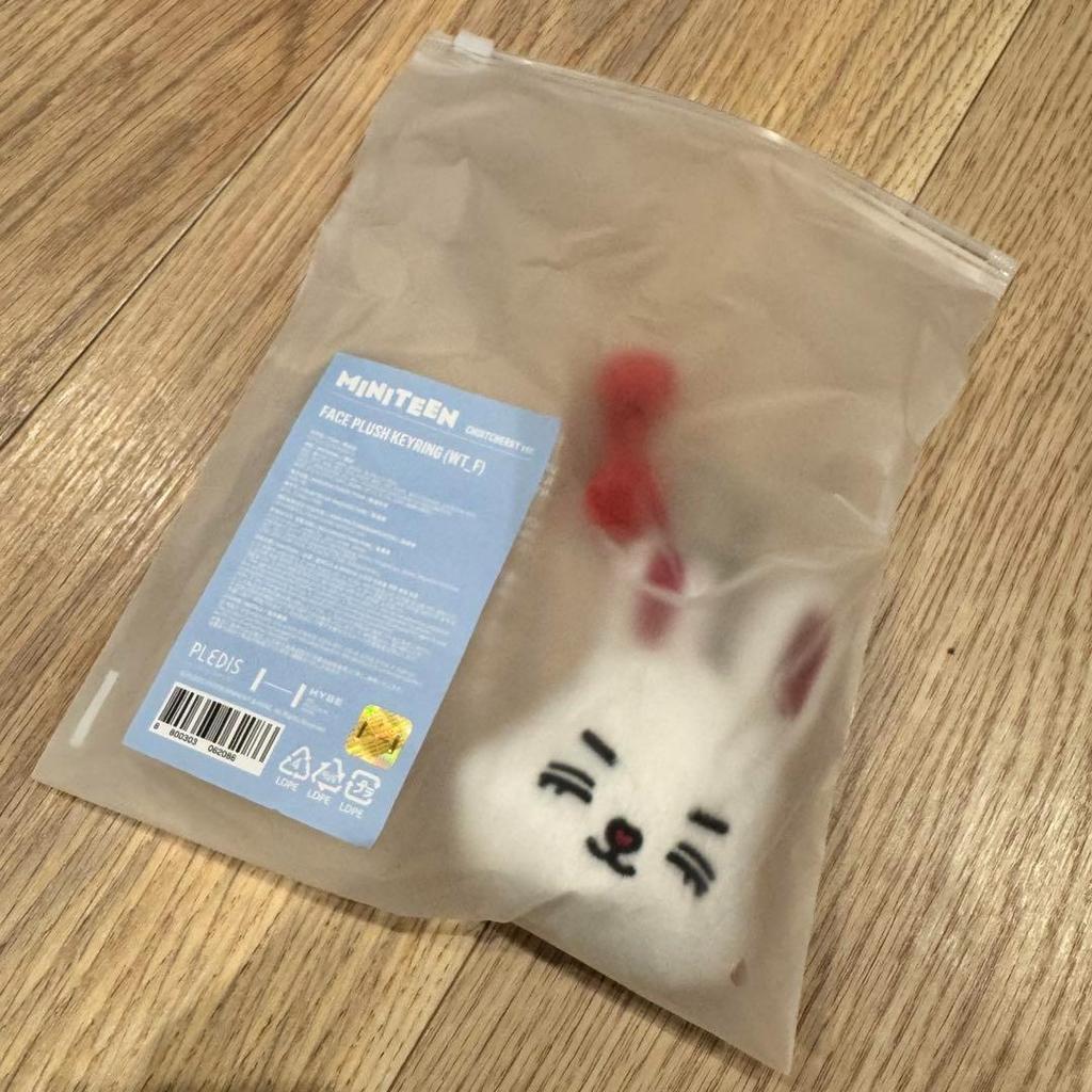 [USED] Pop-up SEVENTEEN MINITEEN Keyring S.Coups