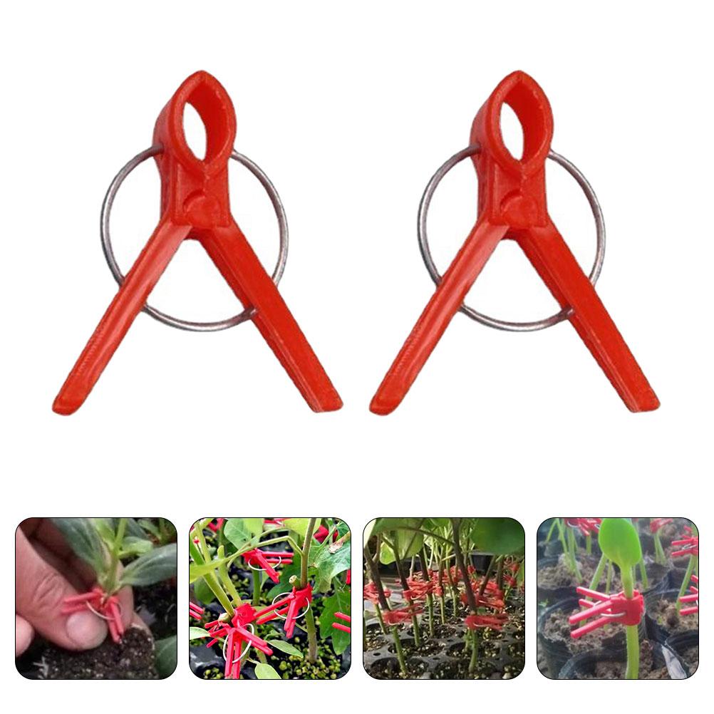 1 Set Veredelungsklammern Gewächshauspflanzen Befestigungsklammern Pflanzenstielhalter Fixe Klemmen Kunststoffklammern Für Gurken Chili Zangen