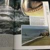 [USED] Whales Photo Books Foreign Books Whales English Mammals Animals Sea Nature